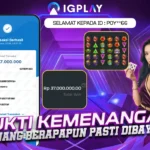 IGPLAY-BRI (1)